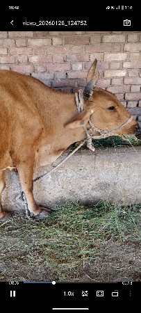 थंबनेल 3