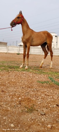 थंबनेल 3