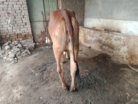 थंबनेल 2