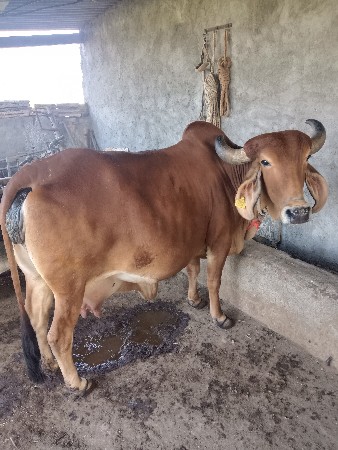 थंबनेल 2