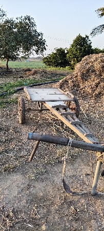 સાસી કનીસન