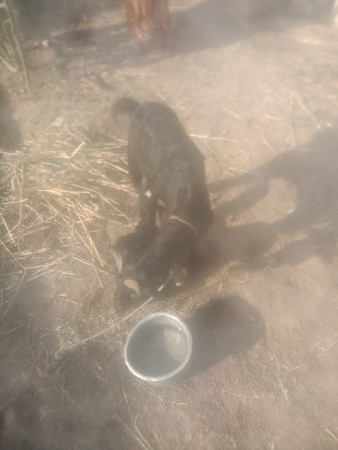 થંબનેલ 2