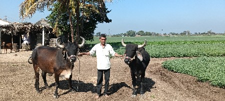 थंबनेल 3