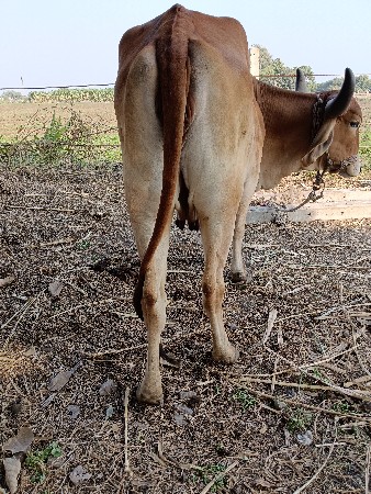 थंबनेल 2