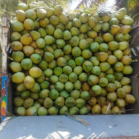 थंबनेल 3