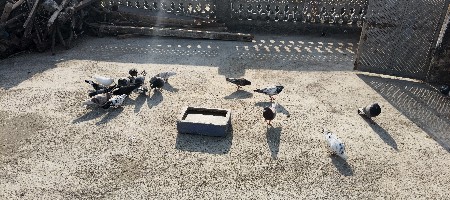 थंबनेल 3