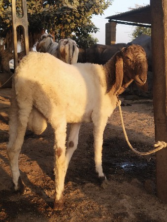 थंबनेल 3