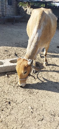 थंबनेल 2