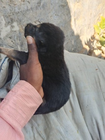 थंबनेल 2