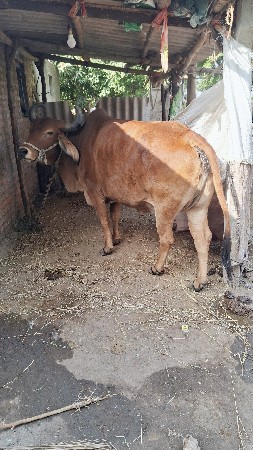 थंबनेल 2