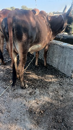 थंबनेल 5