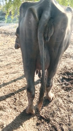 थंबनेल 2