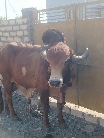 थंबनेल 2