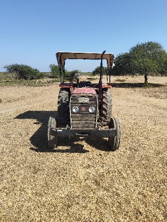 થંબનેલ 3