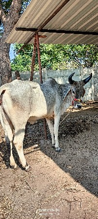 थंबनेल 3