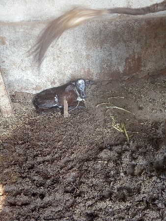 थंबनेल 3