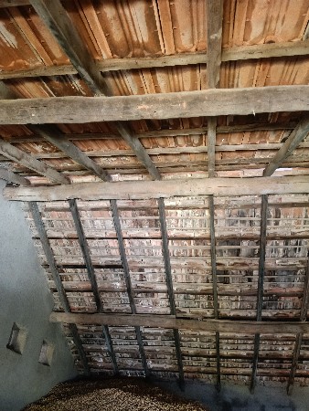 વરણ જુનુ