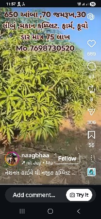 ગેરુ ઝાડ ના થડ માટે કલર કરવા