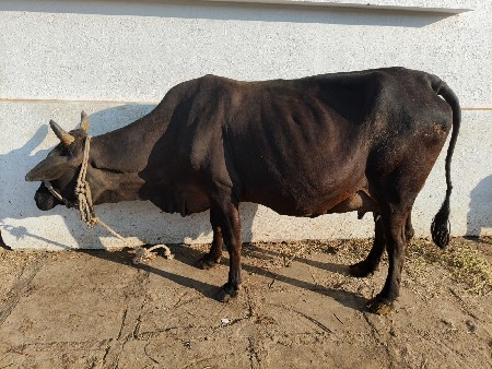 थंबनेल 3