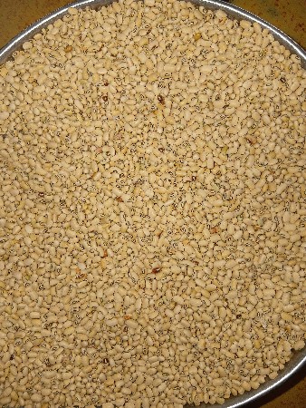 chori nu biyaran vechvanu che