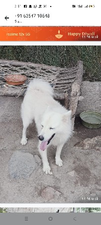 2 વરસ ની પડી લેવાની છે