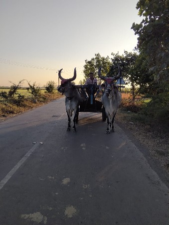 બલદવેચવાનાછે