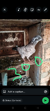 थंबनेल 2