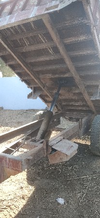 ટેલર વિશ્વનું સે