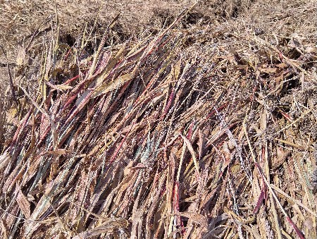 નિરાણ વેચવાની છે