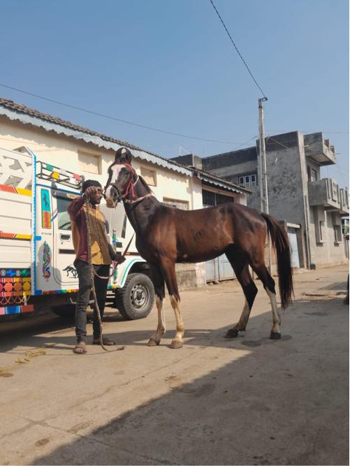 थंबनेल 3