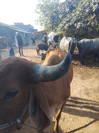 थंबनेल 2