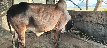 थंबनेल 2