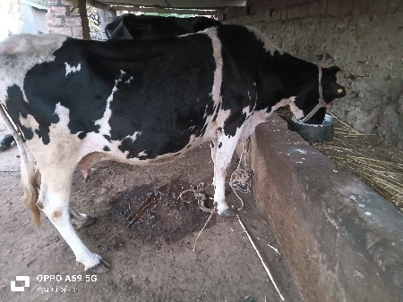 थंबनेल 2