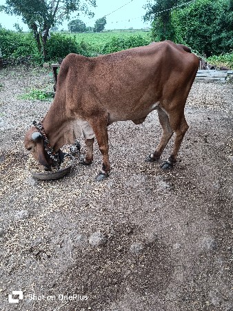 थंबनेल 2