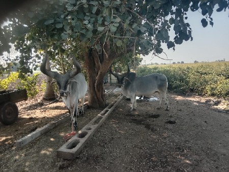 थंबनेल 3