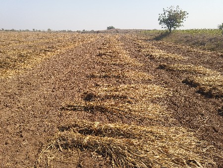 8 વીઘા ની નીણ વેચવાની છે