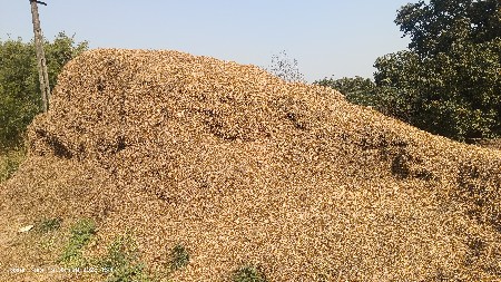 ભુકો વેચવાનો છે