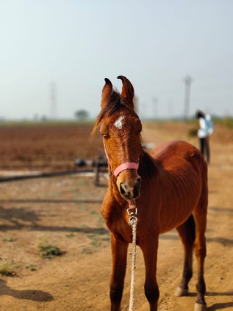 थंबनेल 2