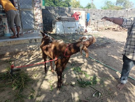 थंबनेल 3