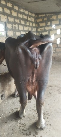 थंबनेल 3