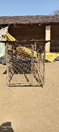 थंबनेल 3