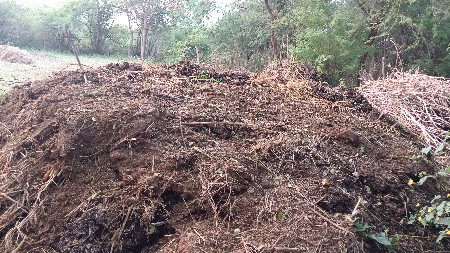 દેશી ખાતર