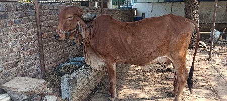 थंबनेल 3