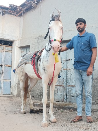 थंबनेल 2