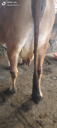 थंबनेल 3