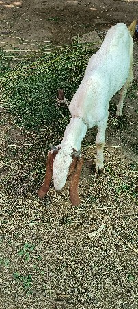 थंबनेल 3