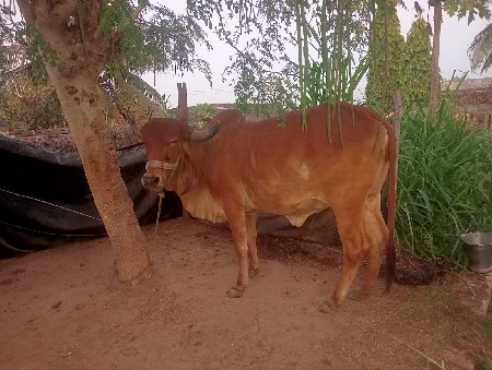 થંબનેલ 2