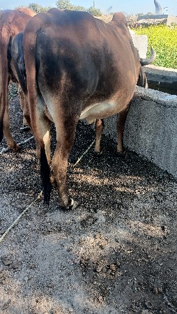 थंबनेल 2