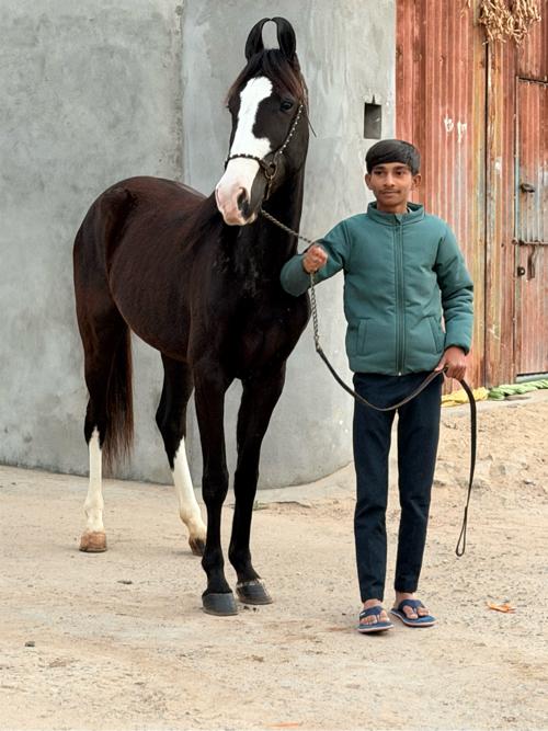 थंबनेल 2