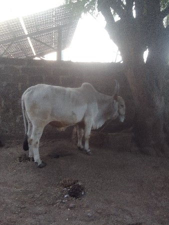 थंबनेल 3